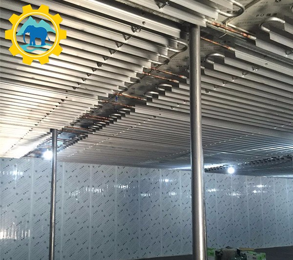 cold room for fish storage