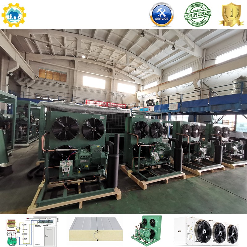 Freezer/Chiller/Cool/Cold Modular Storage Room with Compressor Refrigeration Unit for Fish Meat