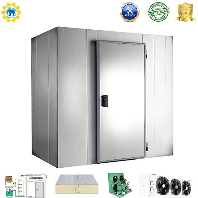 cold room for meat fish