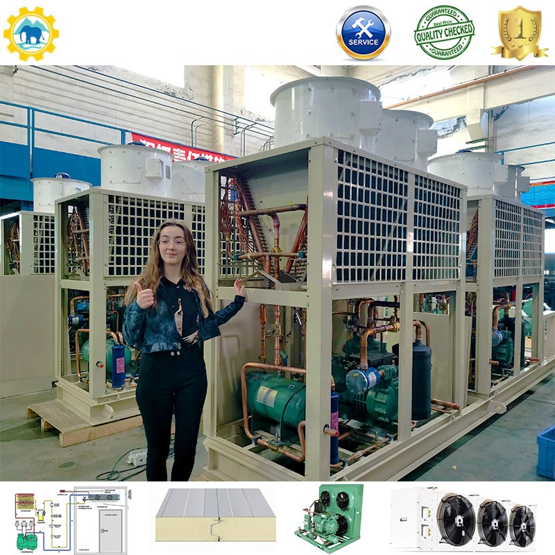 Refrigeration Station with Condensing Unit Compressor Unit and Refrigeration Unit for Freezer Cold Storage Room