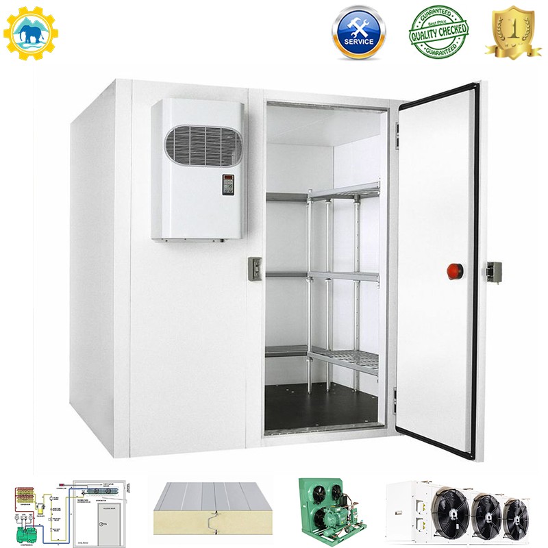 Manufacturer Made Cold Room for Vegetable / Ice / Fish / Meat Cold Storage