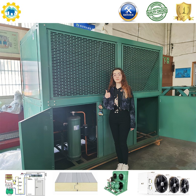Refrigeration Station with Condensing Unit Compressor Unit and Refrigeration Unit for Freezer Cold Storage Room