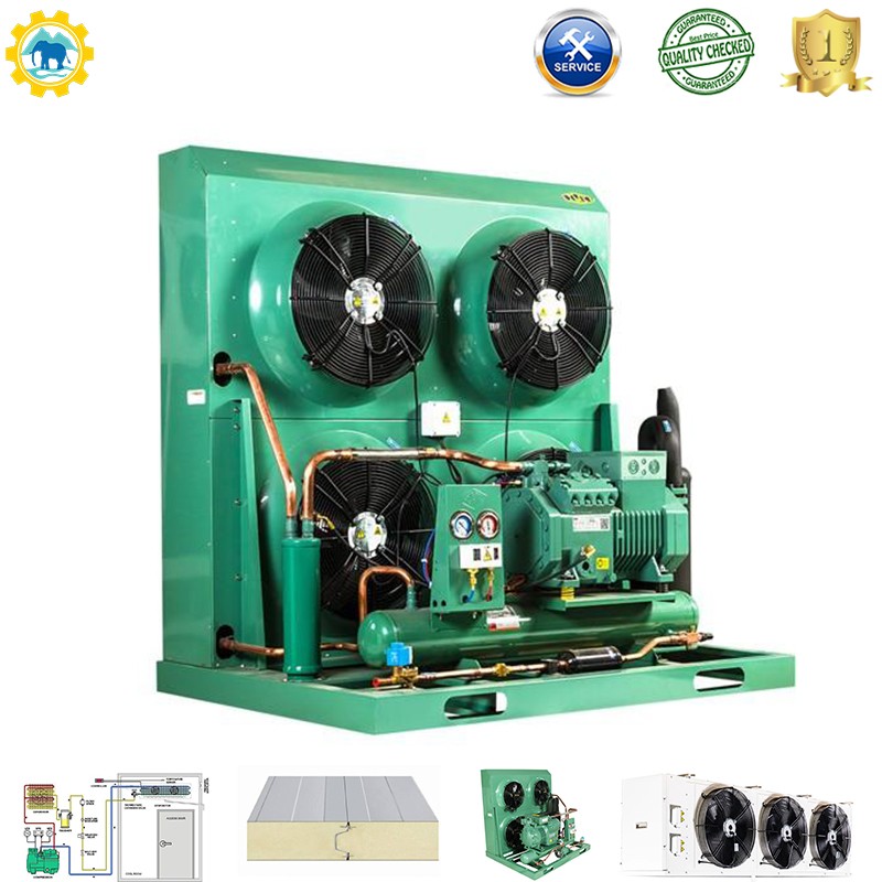 Refrigeration Condenser Unit with Bitzer Compressor for Cold Room