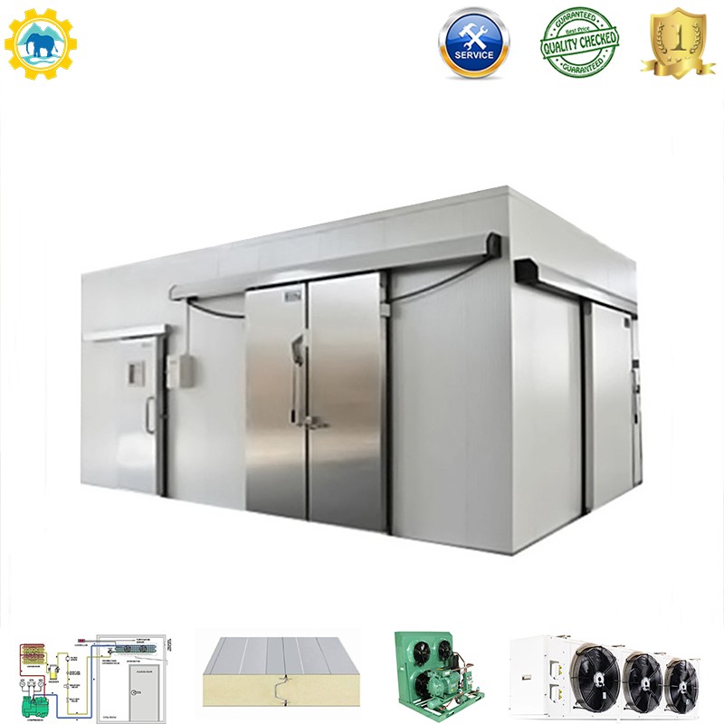 Manufacturer Made Cold Room for Vegetable / Ice / Fish / Meat Cold Storage