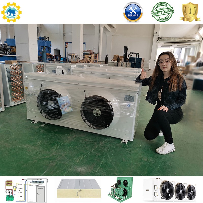 Blast Freezer & Cold Room with Bitzer Compressor, Air Cooler