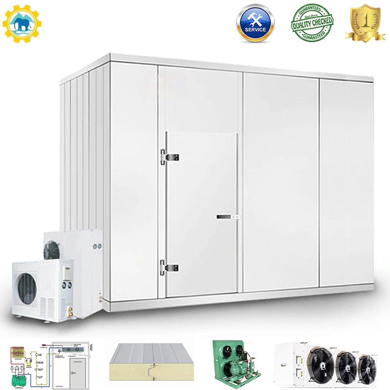 Manufacturer Made Cold Room for Vegetable / Ice / Fish / Meat Cold Storage