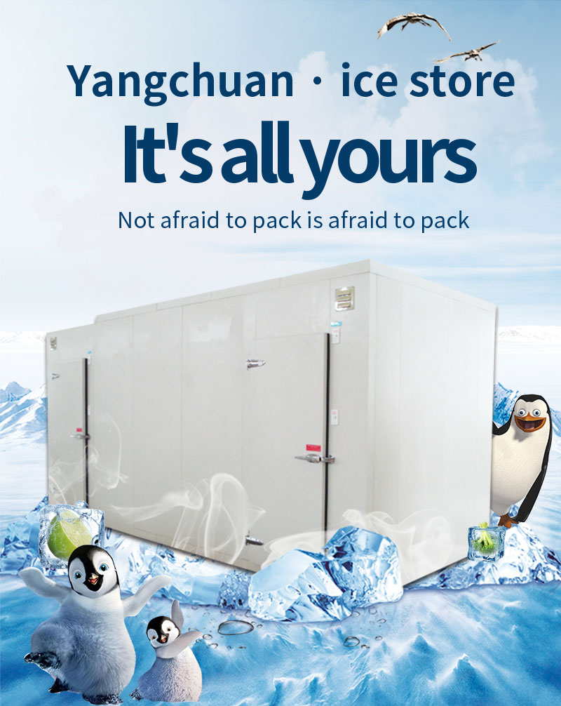Blast Freezer PU Panel Cold Room for Chiller and Freezer1