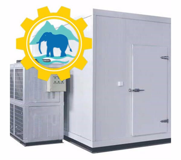 What Is A Cold Storage for Vegetable and Fruit