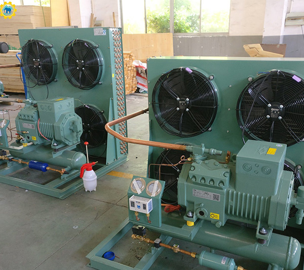 bitzer cold room compressor