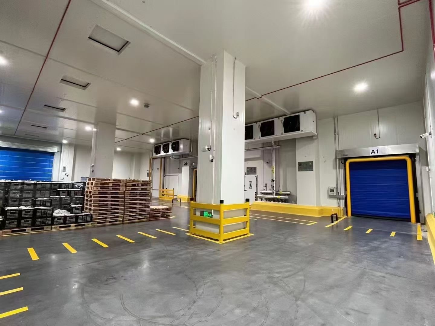 vegetable cold storage room