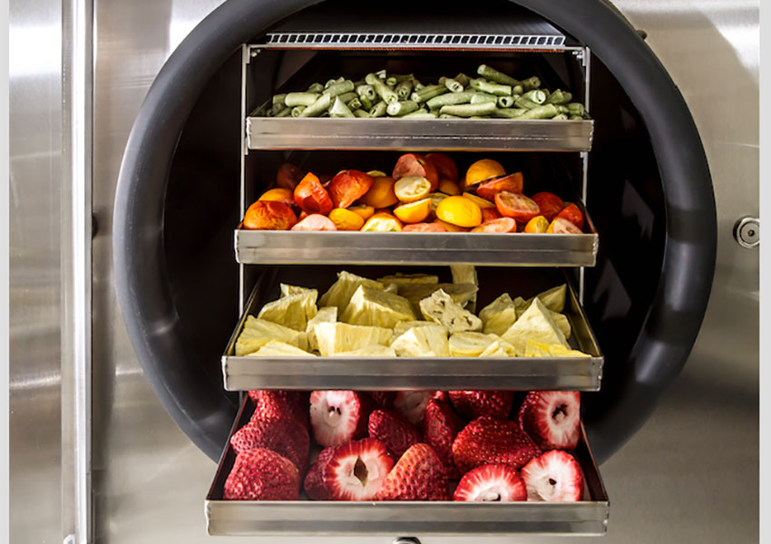 Working-Principles-of-Freeze-Drying.jpg